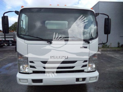 Isuzu NPR XD dump truck front view with windshield wipers, ISUZU logo on grille, and white cab; stock photo style.