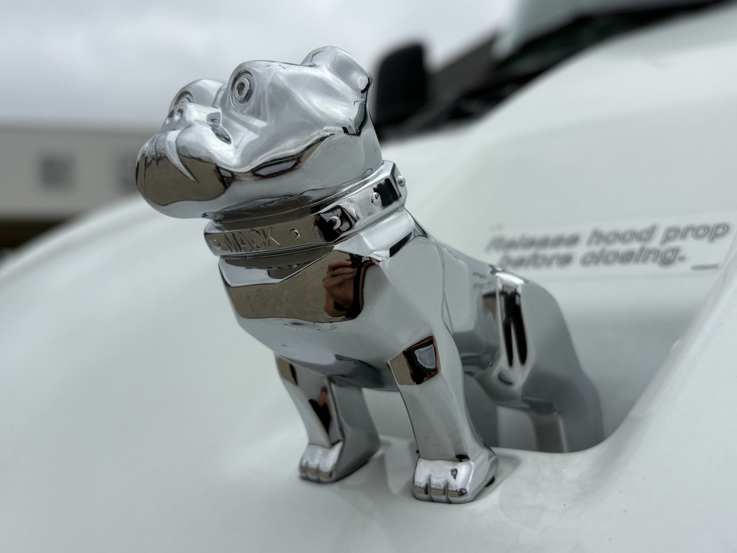 Chrome hood ornament of a bulldog figurine mounted on a Mack AN64T truck hood, close-up detail of the mascot with reflections.