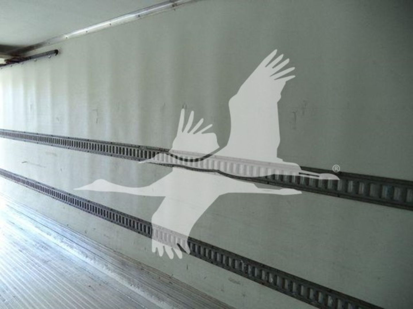 Truck interior side wall showing a large white bird silhouette graphic inside a refrigerated trailer.