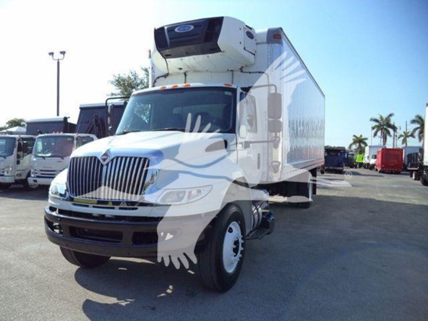 Truck in refrigerated body with front grille, International logo, and roof-mounted reefer unit; side view shows cargo box and refrigeration unit.