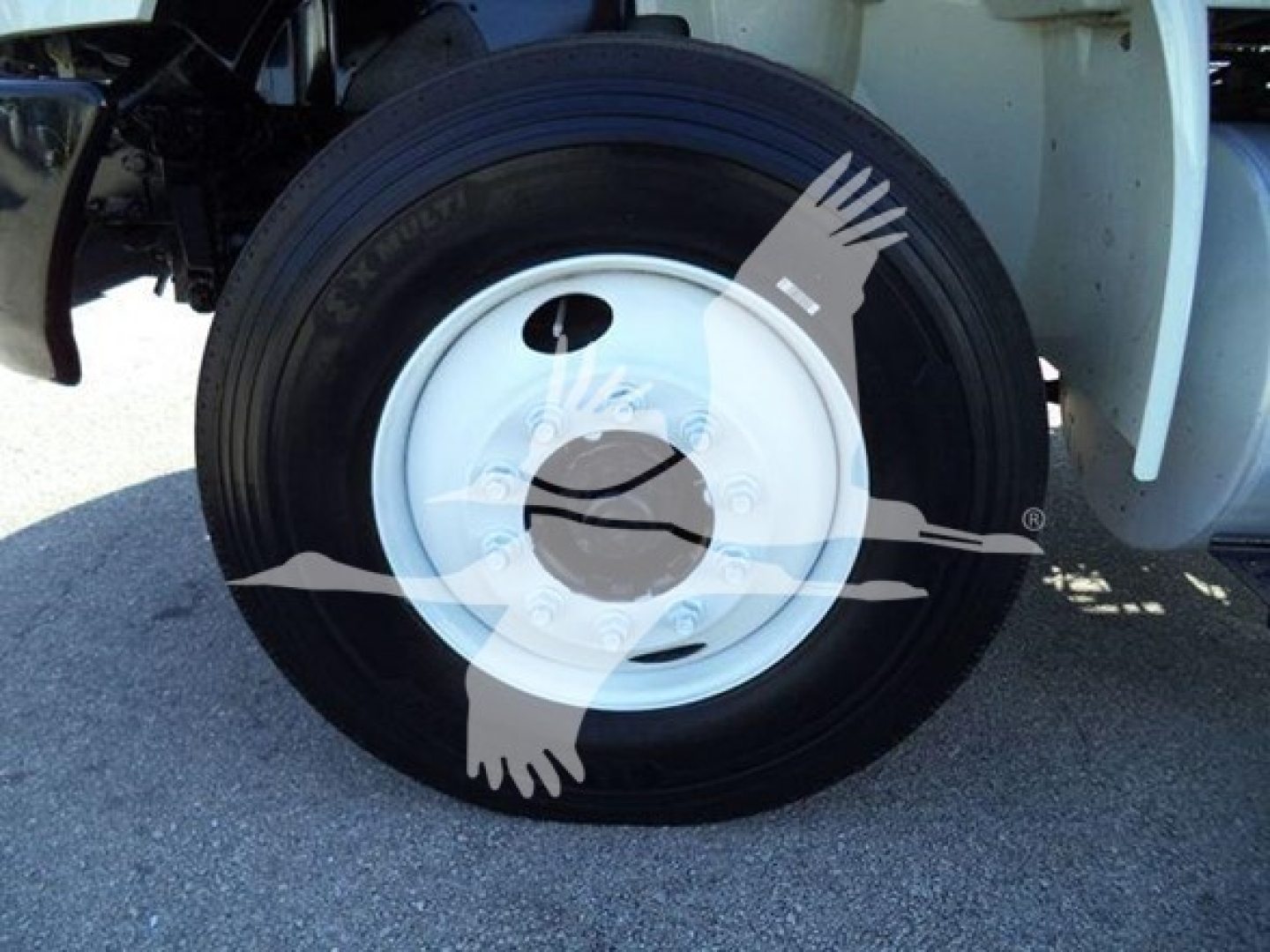 Wheel and tire close-up on a refrigerated truck showing a white steel wheel with black tire.