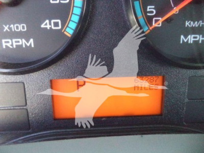 Dashboard of a 2019 International Durastar 4300 showing speedometer and tachometer with orange digital display.