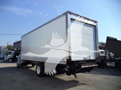 2019 International Durastar 4300 refrigerated box truck side/rear view showing cargo area and rear doors