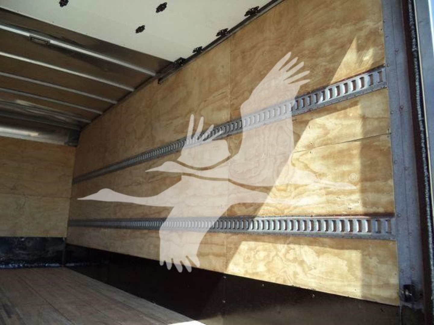 Isuzu NPR HD box truck interior with wooden cargo wall and metal E-track rails; large hand-painted bird graphic on panel.