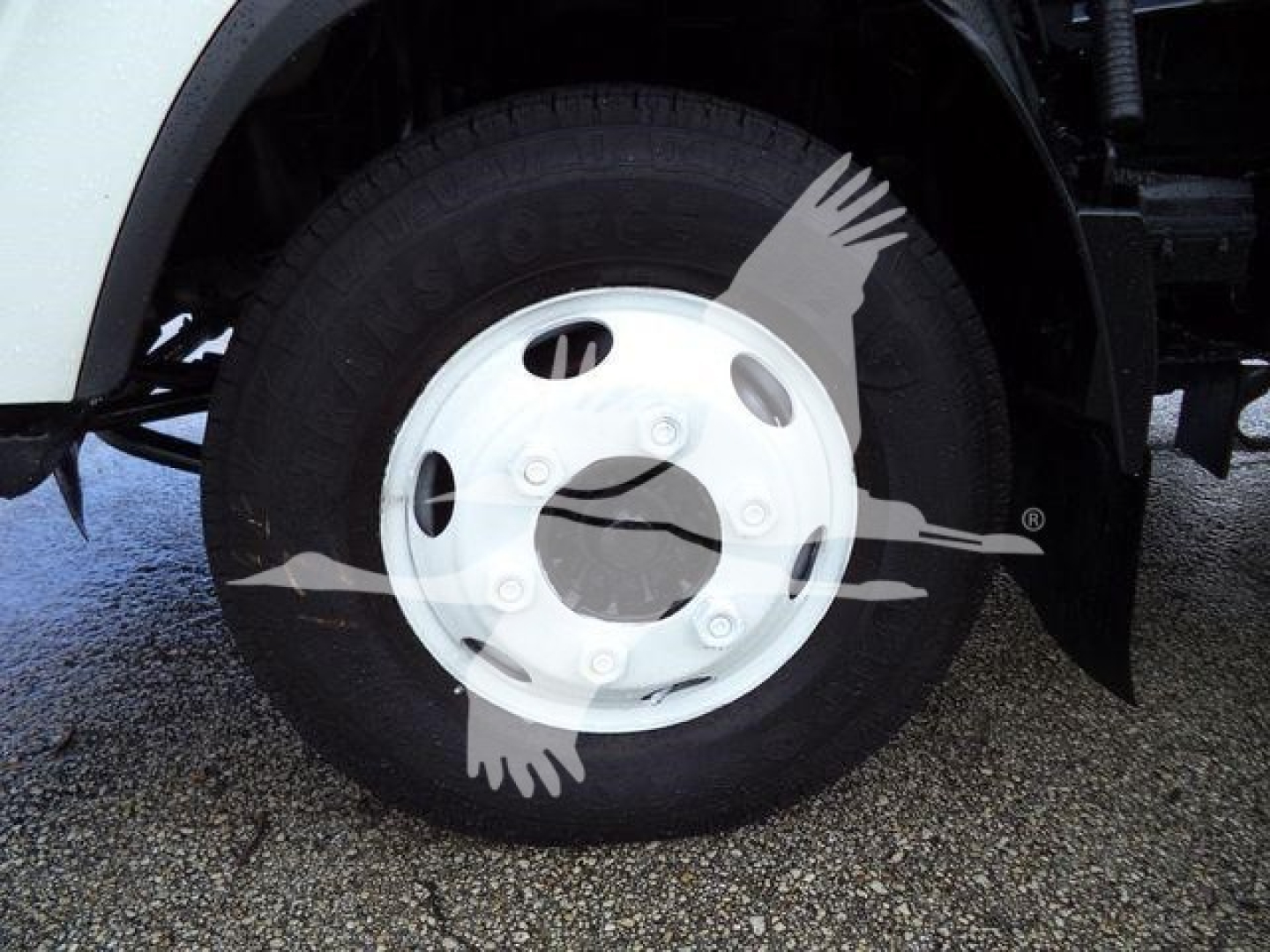 Isuzu NPR-HD wheel/tender showing tire and white steel wheel on front of box truck.