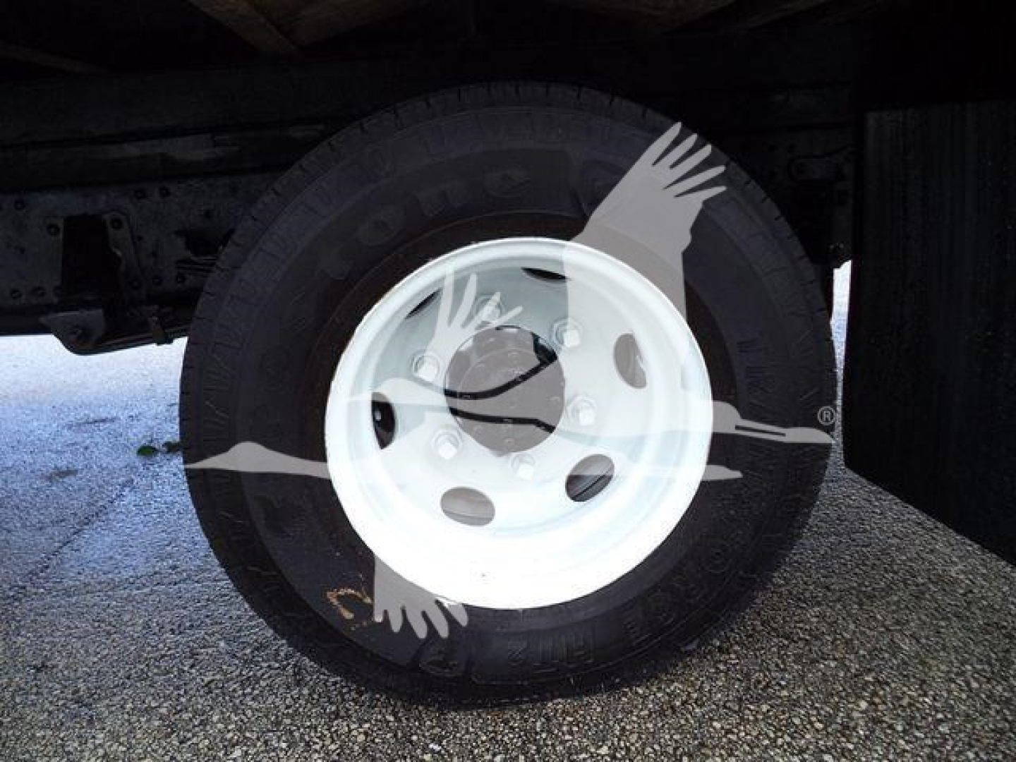 Isuzu NPR-HD truck wheel and tire visible with white steel rim on the rear axle.