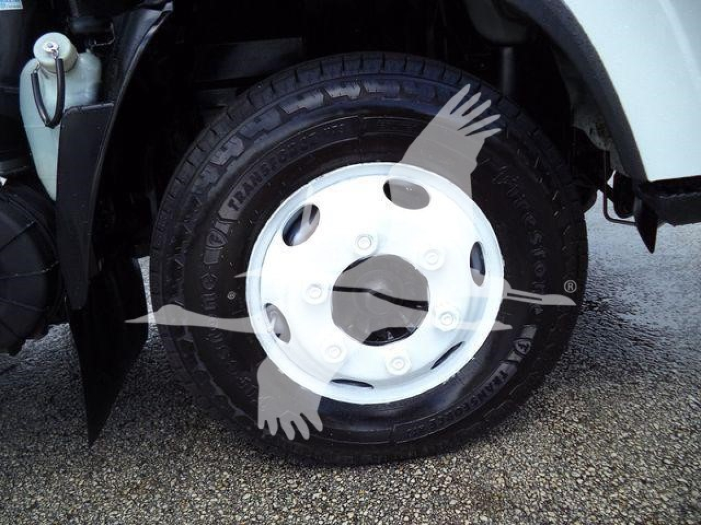 Isuzu NPR HD truck wheel and tire with white hubcap and surrounding fender, partial engine bay components visible.