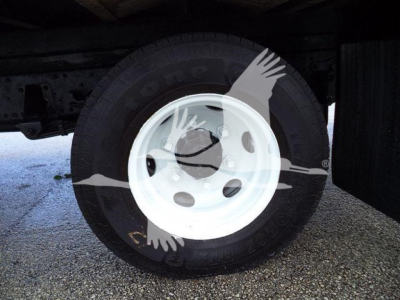 Isuzu NPR-HD truck wheel and tire visible with white steel rim on the rear axle.