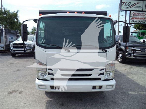 Isuzu NPR/NRR truck front view showing white cab and large windshield with side mirrors.