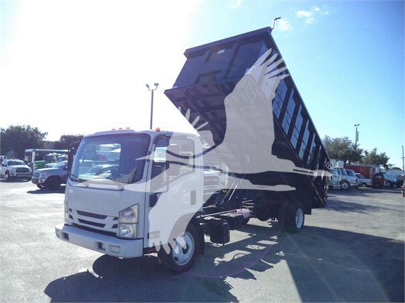 Isuzu NRR dump truck with raised dump bed in a dealership lot.