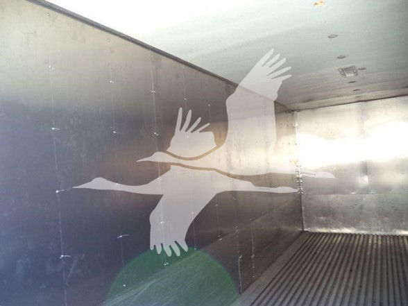 Image of a truck bed interior with metallic walls and ribbed floor. A watermark silhouette of a bird with outstretched wings overlays the image.