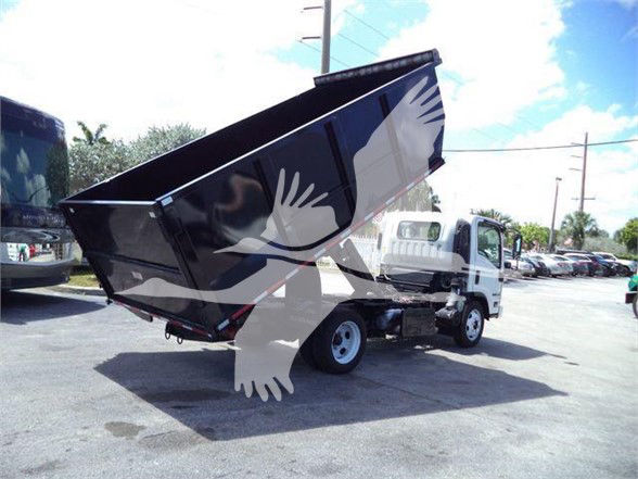 Isuzu NRR dump truck with raised black dump bed, visible side view, dealership lot in background.