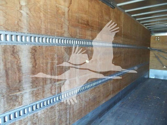 Box truck interior with wooden side panels and E-track rails, showing a large seagull logo decal.