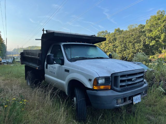 1999 Ford F-450 dump truck in overgrown lot with raised dump bed, white cab, black grille, and dual rear wheels.