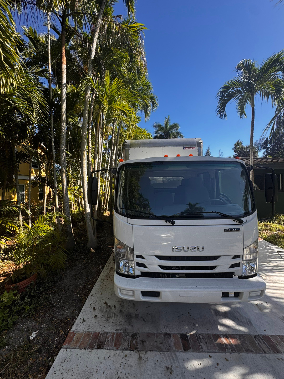 Isuzu NQR box truck front view with cab, Isuzu logo, and Morgan box trailer in a tropical setting.