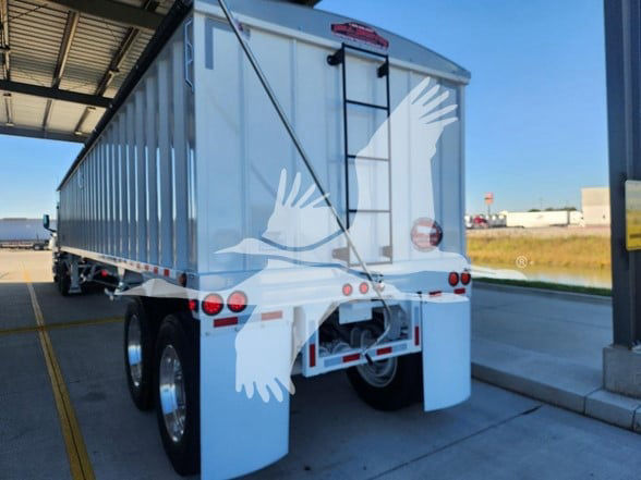 Trailer rear view showing white hopper trailer with dual rear doors and mud flaps. Brand badge on top, ladder to access rear, lights and bumper visible.