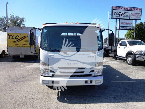 Isuzu NPR HD front view in a dealership yard with TLC signage and other trucks visible in background.