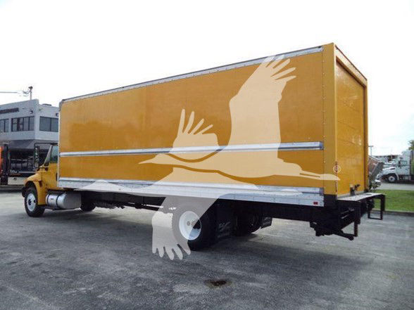 Box truck with yellow cargo body and white graphic of birds, side view showing cargo box and cab.