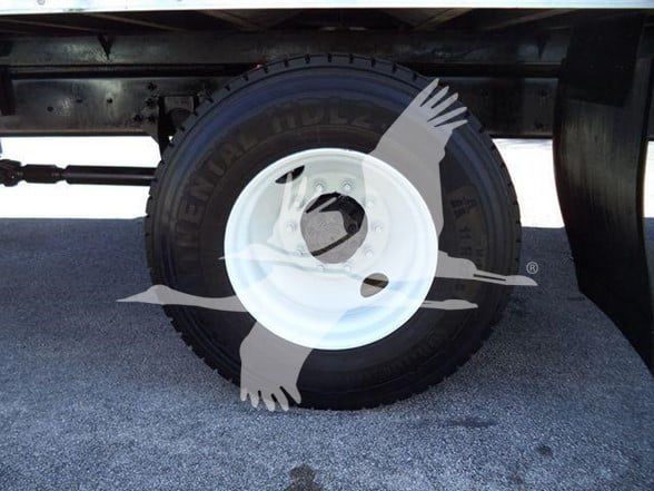 Wheel and tire assembly on a box truck with white steel rim and black tire. Partial watermark of birds/logo across image.