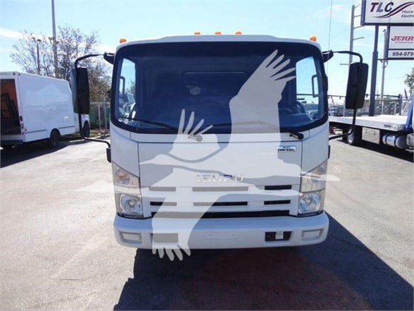 Isuzu NPR/NPR-based cab forward truck front view with windshield and bumper visible; overlay watermark of hands/logo across image.