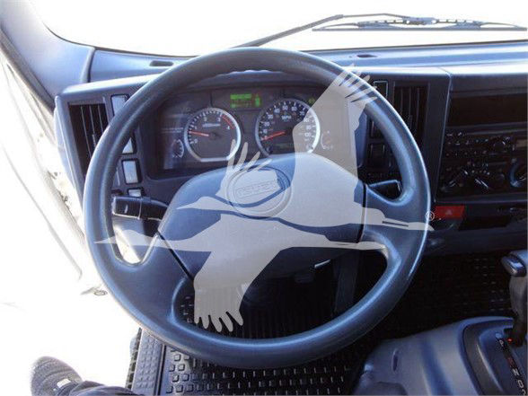 Isuzu NRR truck interior showing steering wheel, instrument cluster, and dashboard viewed from driver's seat.