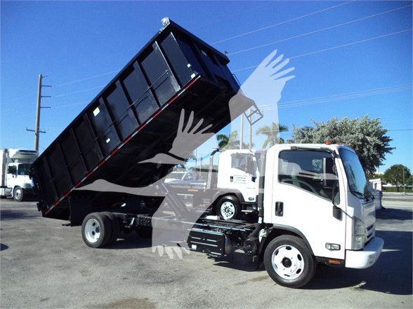 Isuzu NRR dump truck with black dump bed raised in a parking lot.