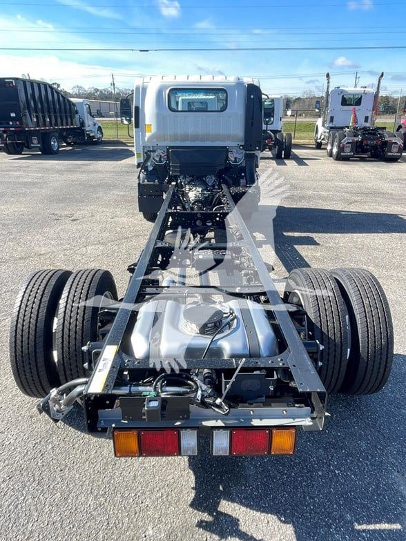 Isuzu NPR HD cab chassis rear view showing chassis frame, dual rear wheels, fuel tank, and taillights.