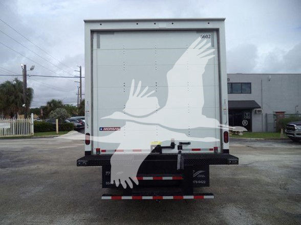 Rear view of a box truck with a white trailer; visible text includes Morabond? on left and number 6602 on top right rear; black rear bumper with reflective striping.