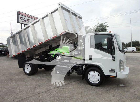 Isuzu NPR/NQR dump truck with tilted aluminum dump bed, cab with single sleeper door, and stock marketing watermark in foreground.