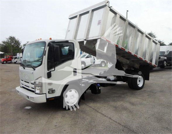 Isuzu NQR dump truck with tilted dumping bed in a used lot, white cab and silver/gray dump body.