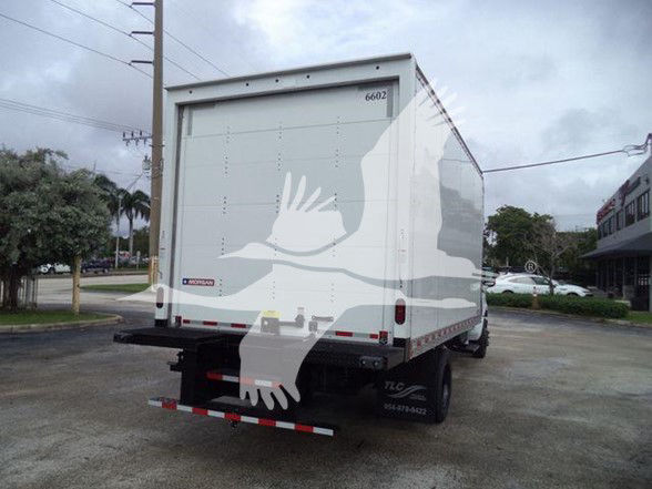 Back view of a white 2023 Chevrolet Silverado 6500HD box truck. There are two rear doors, a rear bumper with reflectors, and a small number 6602 on the top right of the box. The truck sits in a lot with a building and trees in the backgroun