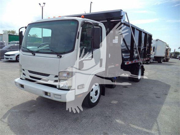 Isuzu NRR dump truck in a dealership lot, white cab, black dump body with hydraulic sides visible.