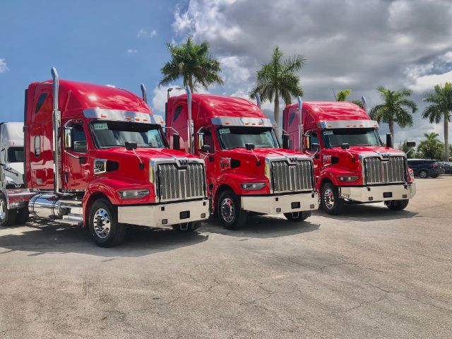 Three red Western Star 4900 conventional sleeper trucks parked in a row with palm trees in the background.