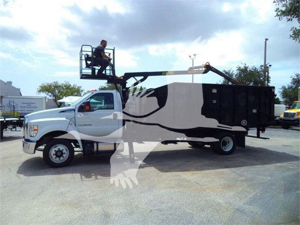 Ford F650 SD grapple truck with bucket lift mounted on a white and black truck bed.
