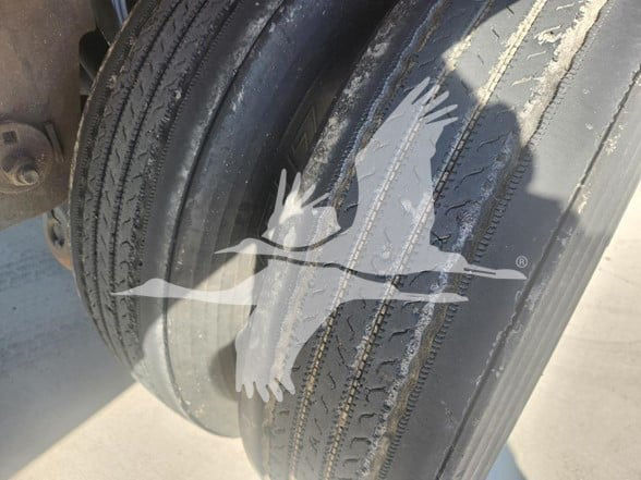 Reefer trailer wheel with vertical tread, logo of a flying bird on the tire surface.