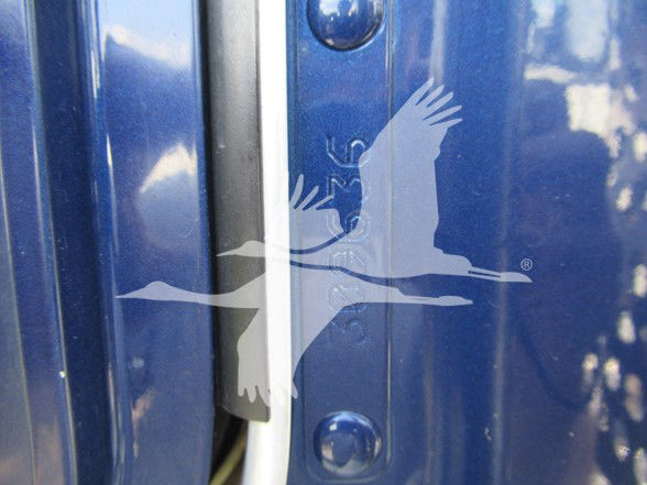 Kenworth W900L truck door area with a blue paint finish and a white vertical seam; watermark of flying crane logo overlaid.