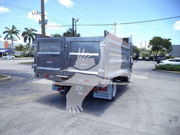 Isuzu NQR dump truck rear view showing cargo bed and taillights, with street and palm trees in background.