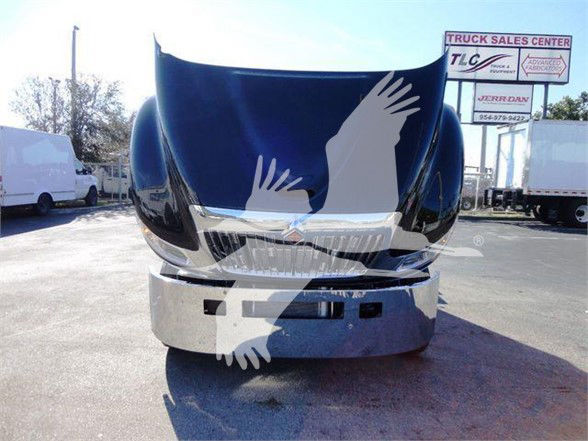 Truck hood with large bird graphic overlapping; front chrome bumper; background shows signage reading TRUCK SALES CENTER and various dealership signs.