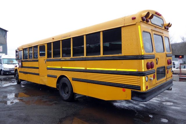 1980s yellow school bus with black stripes, rear view shows tail lights and windows.
