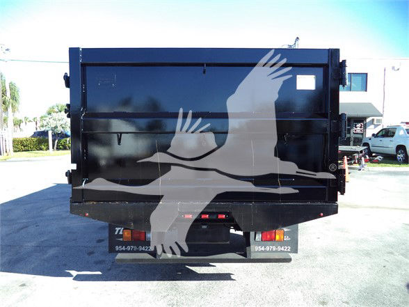 Isuzu NRR dump truck bed/back view with a large eagle graphic on the dump body.