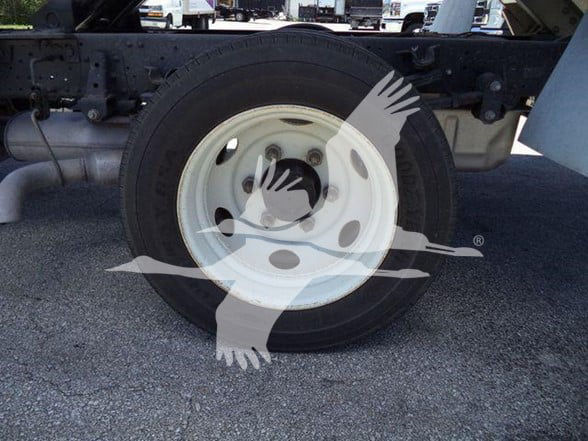Isuzu NQR truck rear wheel and chassis showing white steel wheel, tire, and underside components.