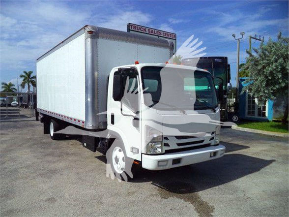 Isuzu NRR box truck with front cab visible, white cab and large box body, dealership lot in background.