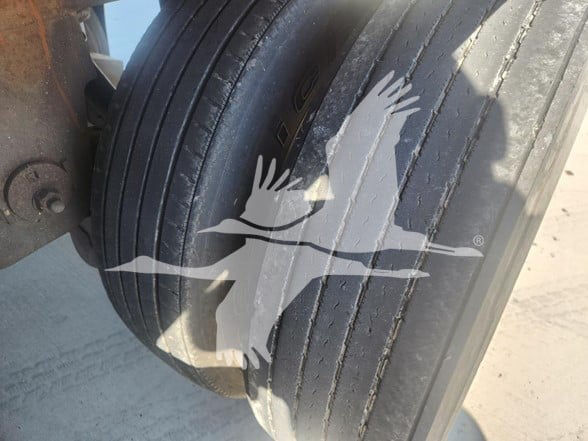 Wheel of a trailer showing a multi-lug tire and a large logo of a seagull in flight with water and waves beneath it.