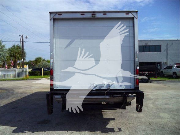 Isuzu NRR box truck rear view with graphic birds watermark over the cargo door.