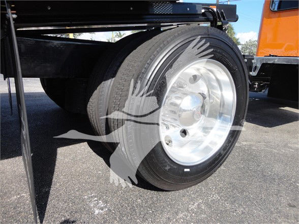 Front wheel of a Peterbilt truck showing large chrome rim and black tire; watermark of a bird logo overlapped.