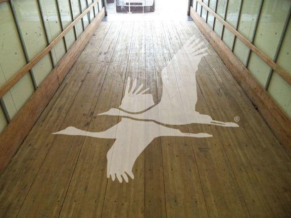 Trailer bed image with large white silhouette of a flying goose logo on wood planks
