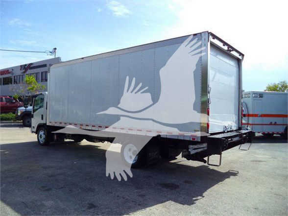 Isuzu NRR box truck rear and side view showing cargo box and rear doors.