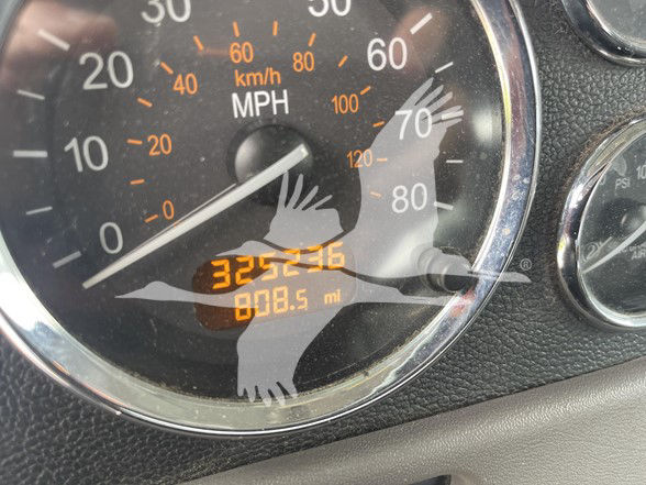 Peterbilt dashboard gauge showing speedometer with orange digital odometer reading 325,216 miles and 008.5 mi trailer/aux. No other legible labels visible.