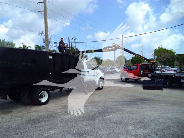 Truck with grapple attachment on flatbed, Ford F-650 SD. Visible text: AM 290? on crane arm. Other details obscured by watermark.
