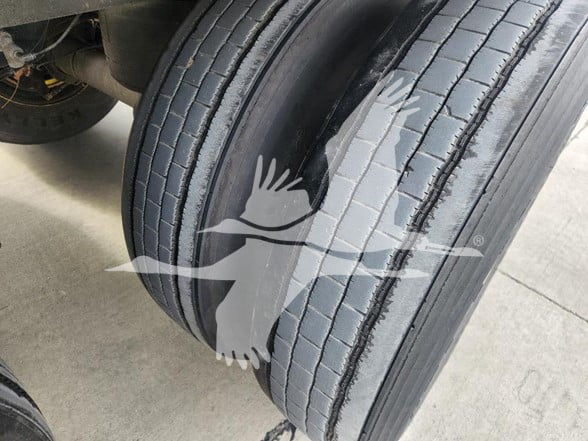 Trailer tire showing tread label with parallel grooves and sidewall details; watermark of a bird logo overlays the image.
